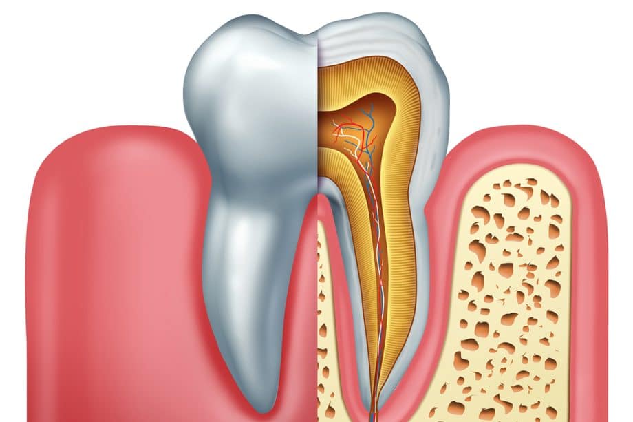 What's the Difference Between an Endodontist and Dentist?